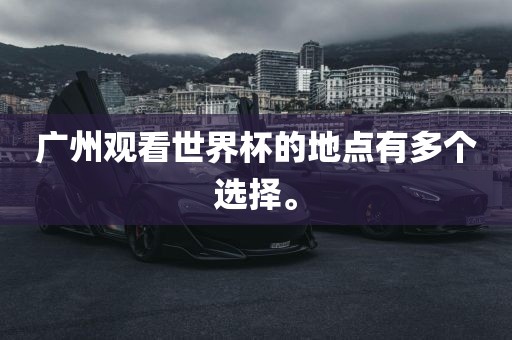 广州观看世界杯的地点有多个选择。