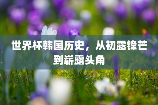 世界杯韩国历史，从初露锋芒到崭露头角