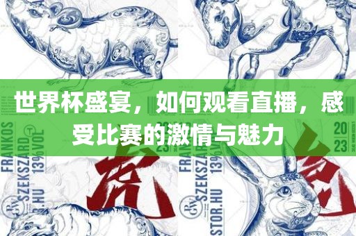 世界杯盛宴，如何观看直播，感受比赛的激情与魅力