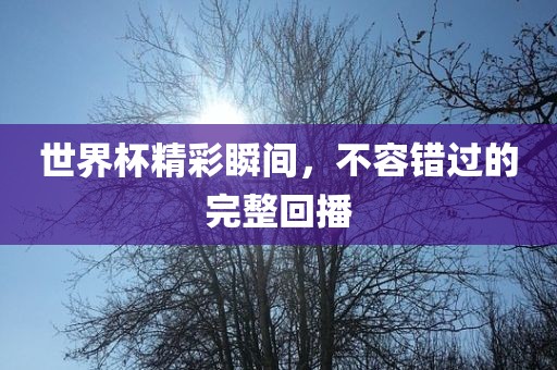 世界杯精彩瞬间，不容错过的完整回播