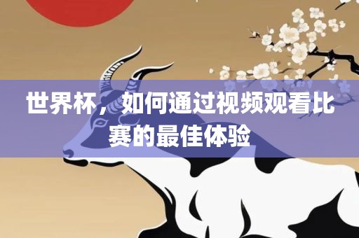 世界杯，如何通过视频观看比赛的最佳体验