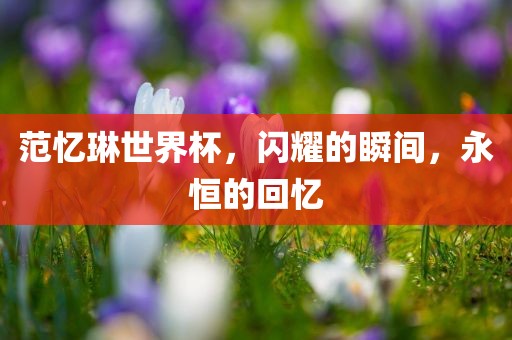 范忆琳世界杯，闪耀的瞬间，永恒的回忆