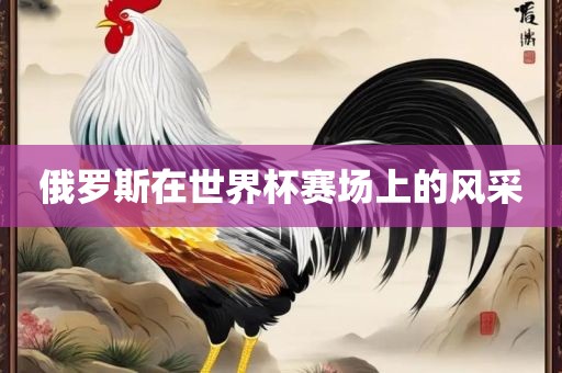 俄罗斯在世界杯赛场上的风采