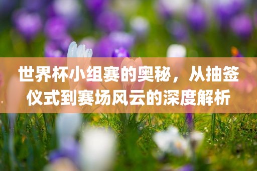 世界杯小组赛的奥秘，从抽签仪式到赛场风云的深度解析
