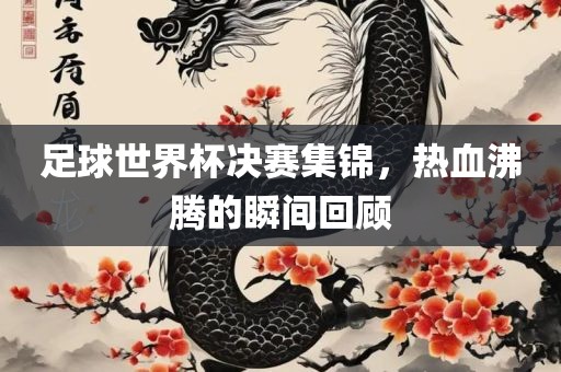 足球世界杯决赛集锦，热血沸腾的瞬间回顾
