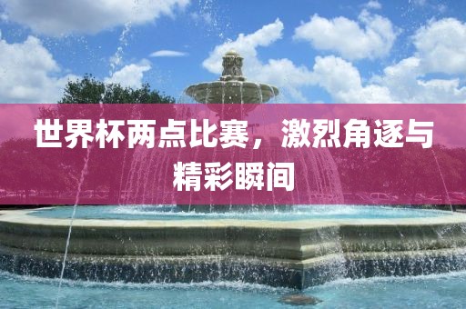 世界杯两点比赛，激烈角逐与精彩瞬间