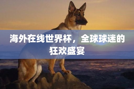 海外在线世界杯，全球球迷的狂欢盛宴