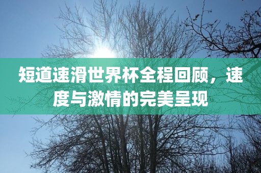 短道速滑世界杯全程回顾，速度与激情的完美呈现