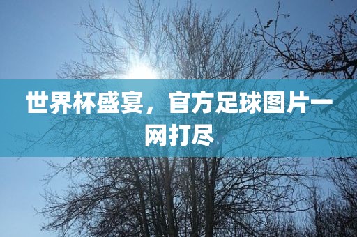 世界杯盛宴，官方足球图片一网打尽