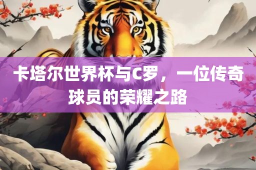 卡塔尔世界杯与C罗，一位传奇球员的荣耀之路