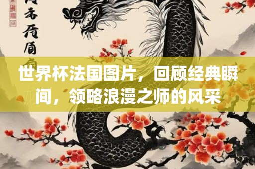 世界杯法国图片，回顾经典瞬间，领略浪漫之师的风采