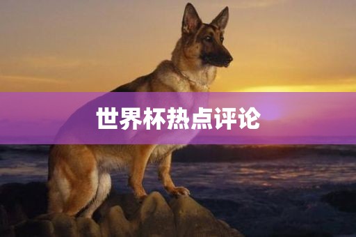 世界杯热点评论