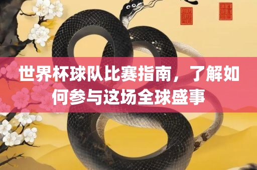 世界杯球队比赛指南，了解如何参与这场全球盛事