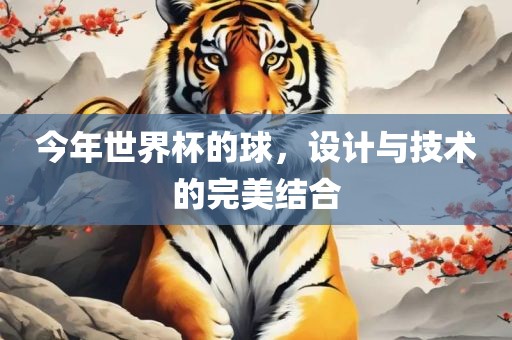 今年世界杯的球，设计与技术的完美结合