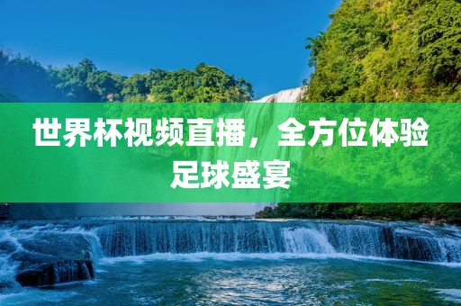 世界杯视频直播，全方位体验足球盛宴