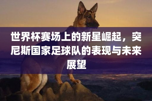 世界杯赛场上的新星崛起，突尼斯国家足球队的表现与未来展望