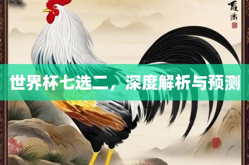 世界杯七选二，深度解析与预测