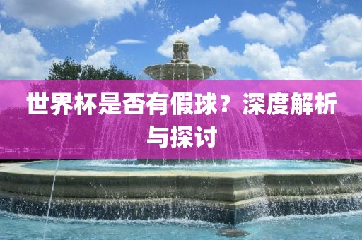世界杯是否有假球？深度解析与探讨