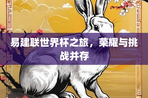 易建联世界杯之旅，荣耀与挑战并存