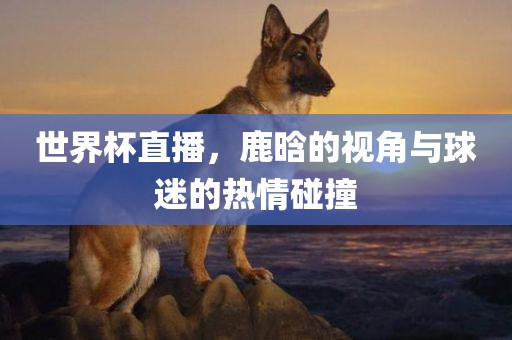 世界杯直播，鹿晗的视角与球迷的热情碰撞吉安市靖泰电力工程有限公司