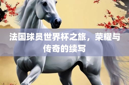 法国球员世界杯之旅，荣耀与传奇的续写