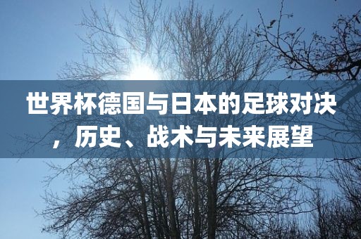 世界杯德国与日本的足球对决，历史、战术与未来展望