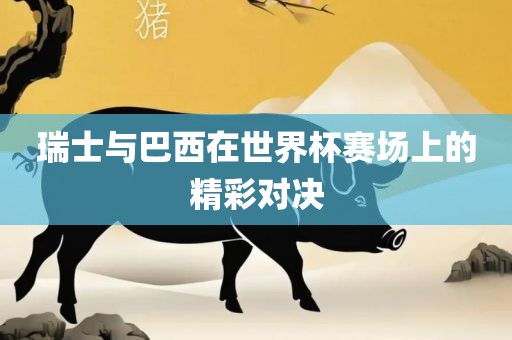 瑞士与巴西在世界杯赛场上的精彩对决