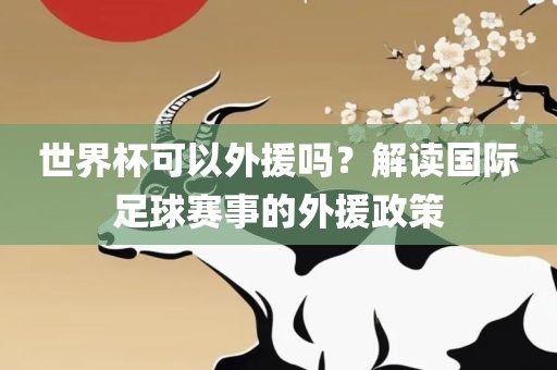 世界杯可以外援吗？解读国际足球赛事的外援政策