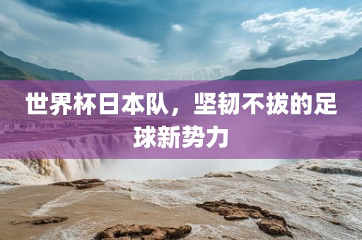 世界杯日本队，坚韧不拔的足球新势力