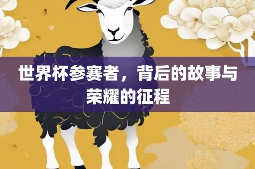 世界杯参赛者，背后的故事与荣耀的征程