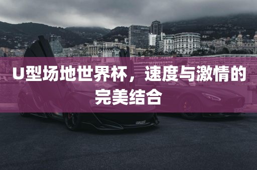 U型场地世界杯，速度与激情的完美结合