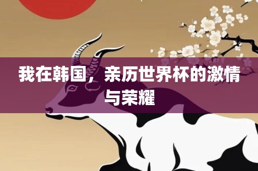 我在韩国，亲历世界杯的激情与荣耀吉安市靖泰电力工程有限公司