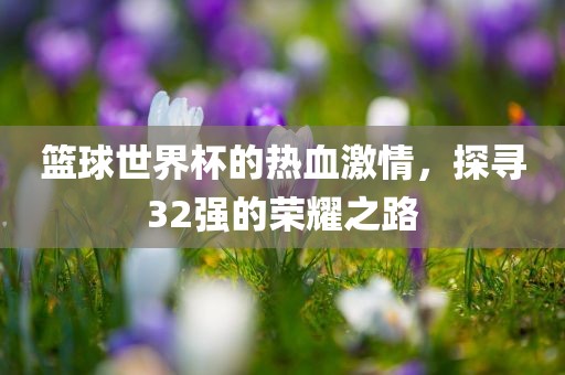 篮球世界杯的热血激情，探寻32强的荣耀之路