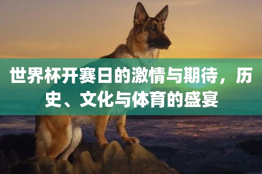 世界杯开赛日的激情与期待，历史、文化与体育的盛宴