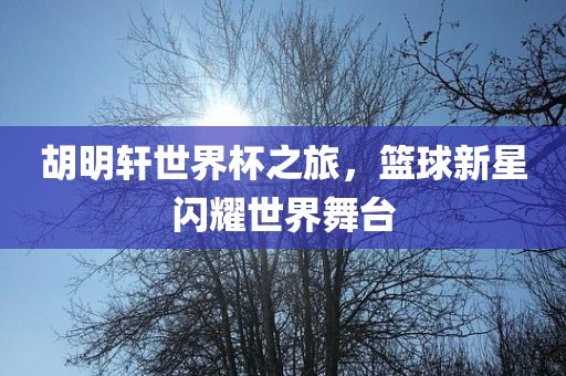 胡明轩世界杯之旅，篮球新星闪耀世界舞台