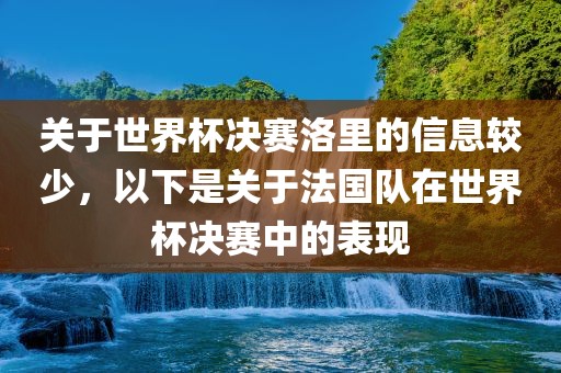 关于世界杯决赛洛里的信息较少，以下是关于法国队在世界杯决赛中的表现