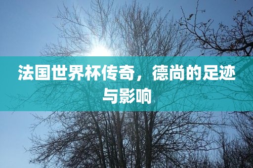 法国世界杯传奇，德尚的足迹与影响
