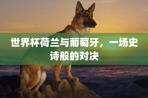 世界杯荷兰与葡萄牙，一场史诗般的对决