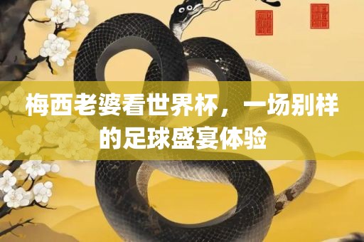 梅西老婆看世界杯，一场别样的足球盛宴体验