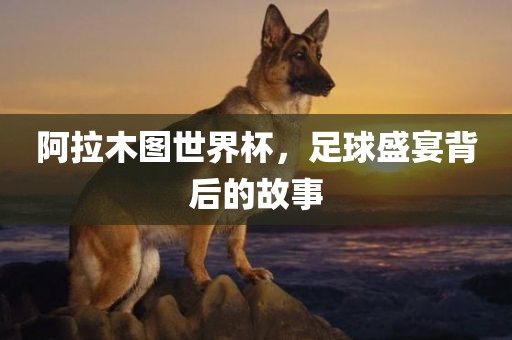 阿拉木图世界杯，足球盛宴背后的故事