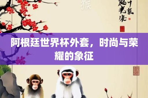 阿根廷世界杯外套，时尚与荣耀的象征