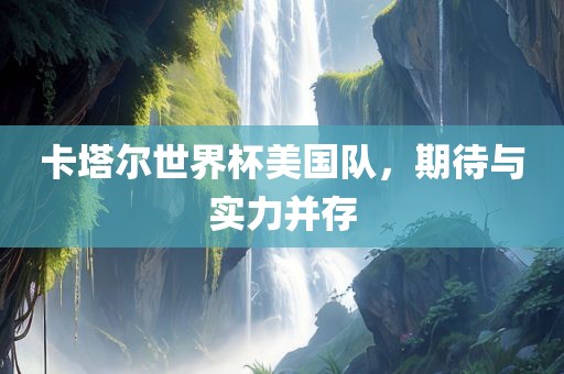 卡塔尔世界杯美国队，期待与实力并存