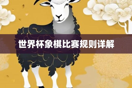 比赛规则详解