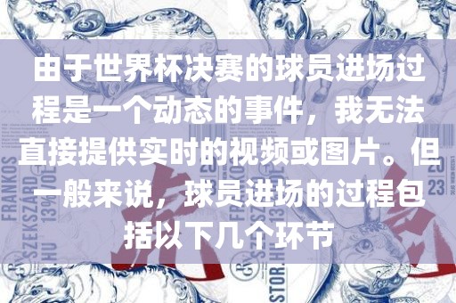 由于世界杯决赛的球员进场过程是一个动态的事件，我无法直接提供实时的视频或图片。但一般来说，球员进场的过程包括以下几个环节