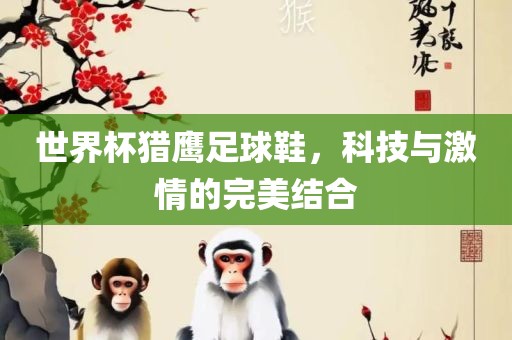 世界杯猎鹰足球鞋，科技与激情的完美结合