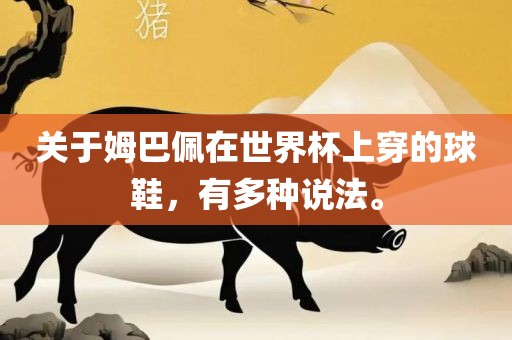 关于姆巴佩在世界杯上穿的球鞋，有多种说法。