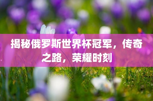 揭秘俄罗斯世界杯冠军，传奇之路，荣耀时刻