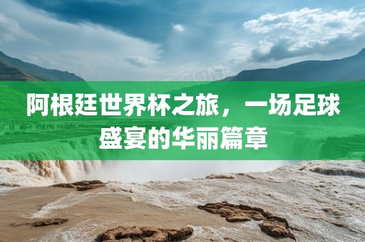 阿根廷世界杯之旅，一场足球盛宴的华丽篇章