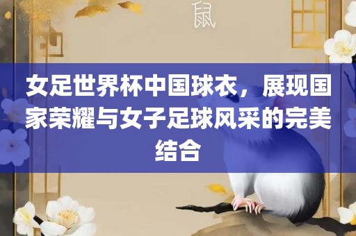 女足世界杯中国球衣，展现国家荣耀与女子足球风采的完美结合