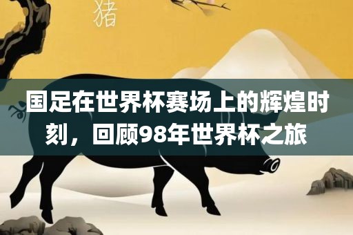 国足在世界杯赛场上的辉煌时刻，回顾98年世界杯之旅